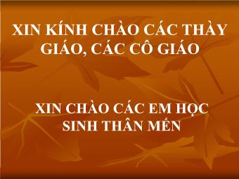 Bài giảng Ngữ văn Lớp 11 - Tiếng Việt: Đặc điểm loại hình của tiếng Việt