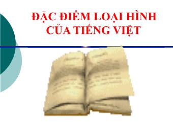 Bài giảng Ngữ văn Lớp 11 - Tiếng Việt: Đặc điểm loại hình của tiếng Việt