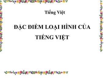 Bài giảng Ngữ văn Lớp 11 - Tiếng Việt: Đặc điểm loại hình của tiếng Việt