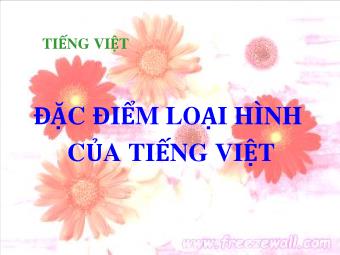 Bài giảng Ngữ văn Lớp 11 - Tiếng Việt: Đặc điểm loại hình của tiếng Việt