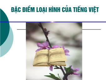 Bài giảng Ngữ văn Lớp 11 - Tiếng Việt: Đặc điểm loại hình của tiếng Việt