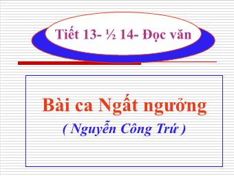 Bài giảng Ngữ văn Lớp 11 - Tiết 13, 14: Bài ca ngất ngưởng (Nguyễn Công Trứ)