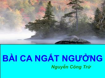 Bài giảng Ngữ văn Lớp 11 - Tiết 13: Đọc văn: Bài ca ngất ngưởng (Nguyễn Công Trứ)