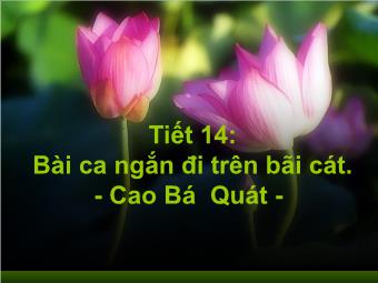 Bài giảng Ngữ văn Lớp 11 - Tiết 14: Bài ca ngắn đi trên bãi cát (Cao Bá Quát)