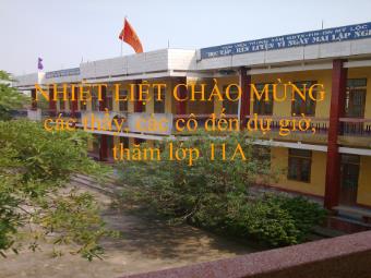 Bài giảng Ngữ văn Lớp 11 - Tiết 17: Đọc văn: Lẽ ghét thương (Nguyễn Đình Chiểu)