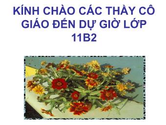 Bài giảng Ngữ văn Lớp 11 - Tiết 41: Đọc văn: Chữ người tử tù (Nguyễn Tuân) - Trường THPT Lê Lợi