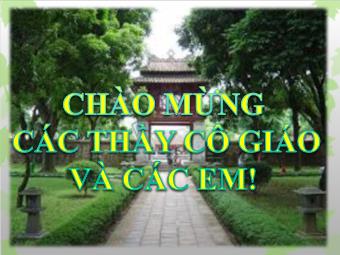 Bài giảng Ngữ văn Lớp 11 - Tiết 42: Đọc văn: Chữ người tử tù (Nguyễn Tuân) - Nguyễn Thị Thu Bình