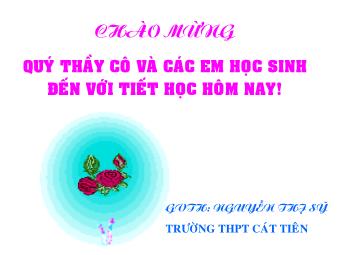 Bài giảng Ngữ văn Lớp 11 - Tiết 45,46: Đọc văn: Hạnh phúc của một tang gia (Vũ Trọng Phụng) - Nguyễn Thị Sỹ