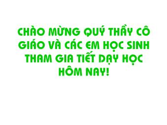 Bài giảng Ngữ văn Lớp 11 - Tiết 50,51: Đọc văn: Bài thơ số 28 (Tích tập Người làm vườn - Ta-go)