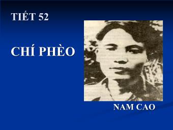 Bài giảng Ngữ văn Lớp 11 - Tiết 52: Đọc văn: Chí Phèo (Nam Cao)