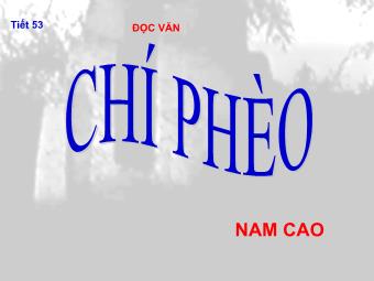 Bài giảng Ngữ văn Lớp 11 - Tiết 53: Đọc văn: Chí Phèo (Nam Cao)