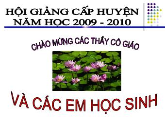 Bài giảng Ngữ văn Lớp 11 - Tiết 89: Tiếng Việt: Đặc điểm loại hình của tiếng Việt