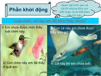 Bài giảng Ngữ văn Lớp 11 - Tuần 16: Thực hành sử dụng một số kiểu câu trong văn bản