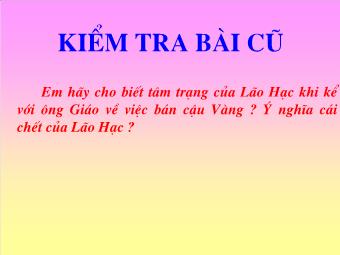 Bài giảng Ngữ văn Lớp 8 - Tiết 21+22: Bài 6: Đọc văn: Cô bé bán diêm (Anđecxen)