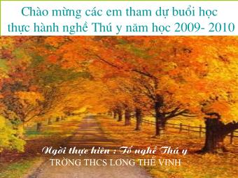 Bài giảng Thực hành nghề Thú y năm học 2009-2010 - Bài 2: Nhận biết các loại vacxin, thuốc kháng sinh, thuốc trị ký sinh trùng, vitamin