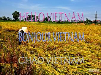 Bài hát: Hello Vietnam