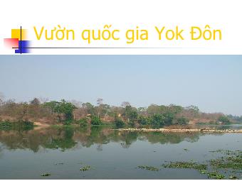 Bài thuyết trình Ngữ văn Lớp 10 - Vườn quốc gia Yok Đôn