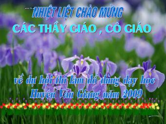 Hội thi làm đồ dùng dạy học huyện Văn Giang năm 2009 - Chân dung các nhà thơ - nhà văn thuộc phần văn học hiện đại Việt Nam ở bậc THCS