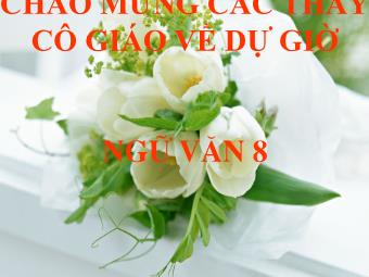 Bài giảng Ngữ Văn 8 - Tiết 73: Văn bản: Nhớ rùng (Thế Lữ)