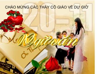 Bài giảng môn Ngữ văn 8 - Tiết 49: Tìm hiểu văn bản Bài toán dân số (Thái An)