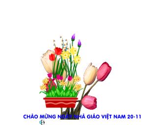 Bài giảng Ngữ văn Lớp 8 - Đọc hiểu văn bản Bài toán dân số