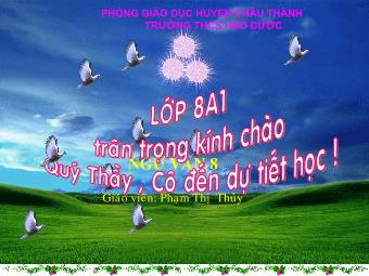 Bài giảng Ngữ văn Lớp 8 - Tiết 49: Tìm hiểu văn bản Bài toán dân số (Thái An) - Trường THCS Hảo Đước