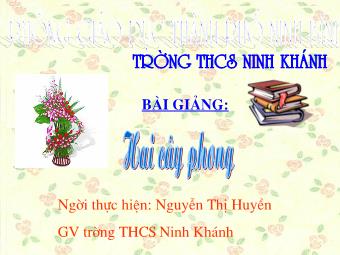Bài giảng Ngữ Văn Khối 8 - Tìm hiểu văn bản: Hai cây phong (Ai-ma-top) - Trường THCS Ninh Khánh