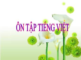 Bài giảng môn Ngữ văn 8 - Ôn tập Tiếng Việt