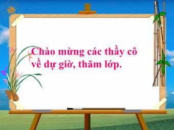 Bài giảng môn Ngữ văn 8 - Tiết 21: Văn bản Cô bé bán diêm (An-đec-xen)