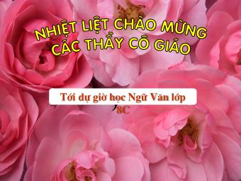 Bài giảng môn Ngữ văn 8 - Tiết 21,22: Cô bé bán diêm (An-đec-xen)