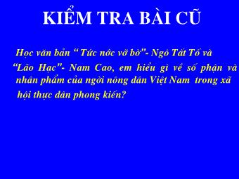 Bài giảng môn Ngữ văn Khối 8 - Tiết 21,22: Tìm hiểu văn bản Cô bé bán diêm (An-đec-xen)