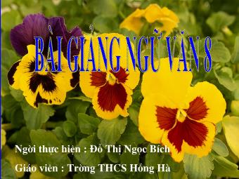 Bài giảng môn Ngữ văn Lớp 8 - Tiết 105,106: Phân tích văn bản Thuế máu (Nguyễn Ái Quốc) - Đỗ Thị Ngọc Bích