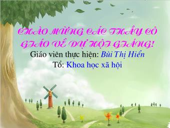 Bài giảng môn Ngữ văn Lớp 8 - Tiết 25,26: Đọc hiểu văn bản Đánh nhau với cối xay gió - Bùi Thị Hiển