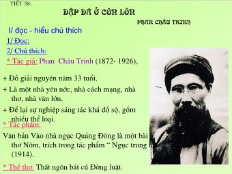 Bài giảng Ngữ văn 8 - Đọc văn Tiết 58: Đập đá ở Côn Lôn (Phan Châu Trinh)