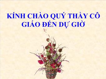 Bài giảng Ngữ văn 8 - Tiết 22: Đọc bài Cô bé bán diêm (An-đec-xen)