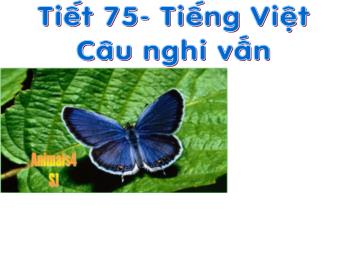 Bài giảng Ngữ văn 8 - Tiết 75: Tiếng Việt Câu nghi vấn