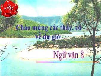 Bài giảng Ngữ văn Khối 8 - Tiếng Việt Tiết 91: Câu trần thuật