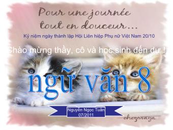 Bài giảng Ngữ văn Khối 8 - Tiết 21: Tìm hiểu văn bản Cô bé bán diêm (An-đec-xen) - Nguyễn Ngọc Tuấn