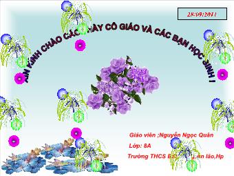 Bài giảng Ngữ văn Khối 8 - Tiết 21: Văn bản Cô bé bán diêm (An-đec-xen) - Nguyễn Ngọc Quân