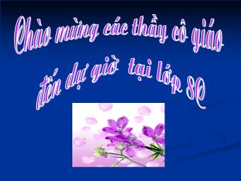 Bài giảng Ngữ văn Khối 8 - Tiết 42: Luyện nói Kể chuyện theo ngôi kể kết hợp với miêu tả và biểu cảm - Năm học 2009-2010