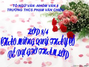 Bài giảng Ngữ văn Khối 8 - Tiết 61: Thuyết minh về một thể loại văn học - Phan Thị Song Phương