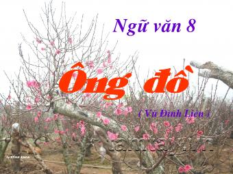 Bài giảng Ngữ văn Khối 8 - Tiết 65: Đọc văn Ông đồ (Vũ Đình Liên)