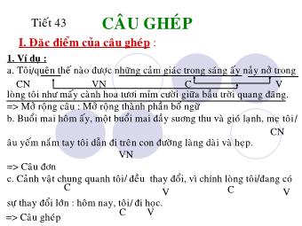 Bài giảng Ngữ văn Lớp 8 - Phần Tiếng Việt Tiết 43: Câu ghép