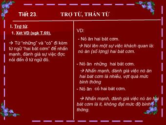 Bài giảng Ngữ văn Lớp 8 - Tiết 23: Tiếng Việt Trợ từ, thán từ