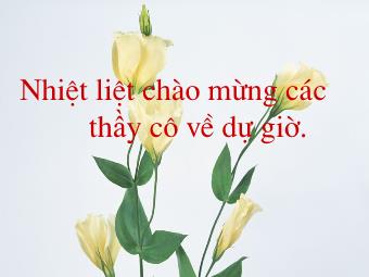 Bài giảng Ngữ văn Lớp 8 - Tiết 32: Làm văn Lập dàn ý cho bài văn tự sựu kết hợp với miêu tả và biểu cảm