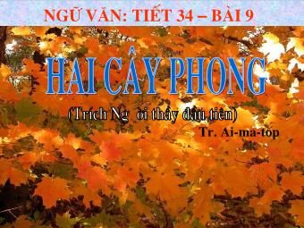 Bài giảng Ngữ văn Lớp 8 - Tiết 34: Tìm hiểu văn bản Hai cây phong (Ai-ma-top)