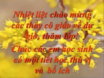 Bài giảng Ngữ văn Lớp 8 - Tiết 39: Đọc bài Thông tin về ngày Trái đất năm 2000