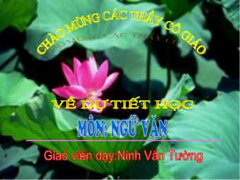 Bài giảng Ngữ văn Lớp 8 - Tiết 77: Quê hương (Tế Hanh) - Ninh Văn Tường