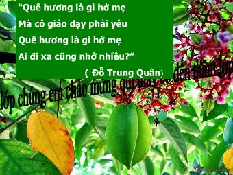 Bài giảng Ngữ văn Lớp 8 - Văn bản Tiết 82: Quê hương (Tế Hanh)