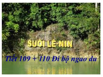 Bài giảng môn Ngữ văn Khối 8 - Phân tích văn bản Tiết 109,110: Đi bộ ngao du